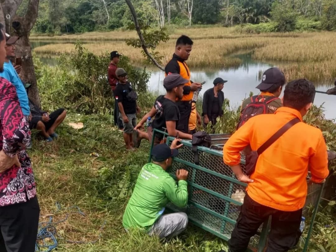 Gambar WhatsApp 2025-06-18 pukul 14.44.05_fe30ec41